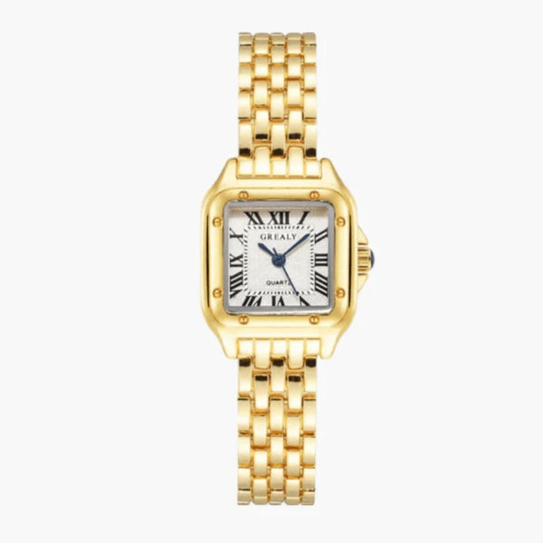 Monaco Watch