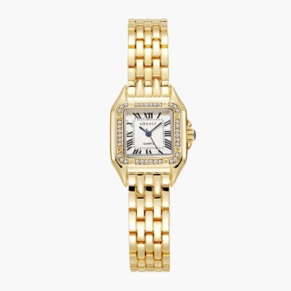 Monaco Watch