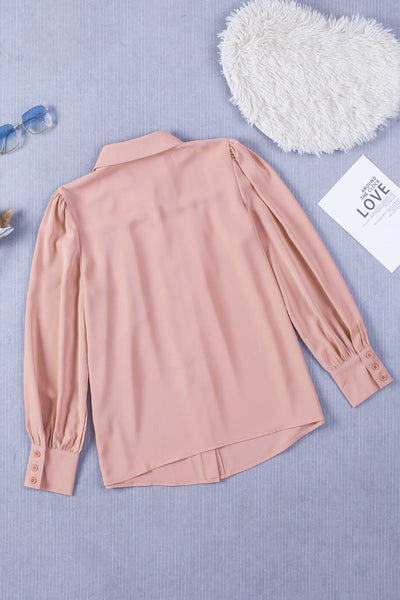 Women's Solid Long-sleeved Lapel Shirt in Blouses & Shirts