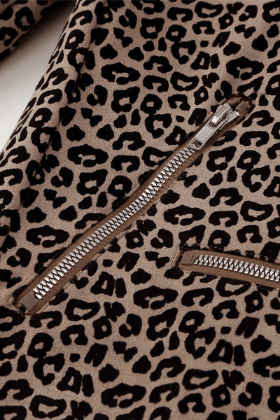 Women's Leopard Print Moto Jacket in Jackets for polished occasion-to-casual wear