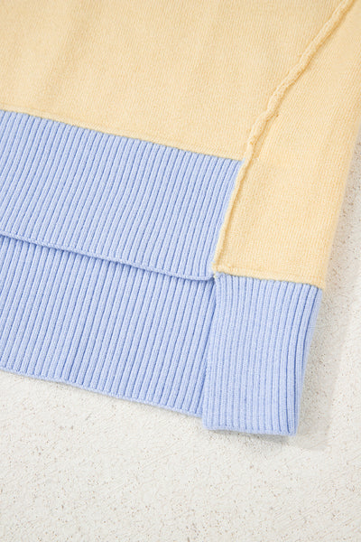 Women's Sky Blue Color Block Polo Sweater in Viscose Blend