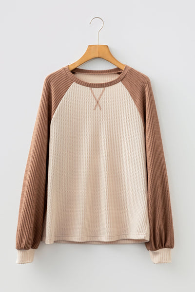 Women's Camel Waffle Knit Raglan Top with Color Block Sleeves