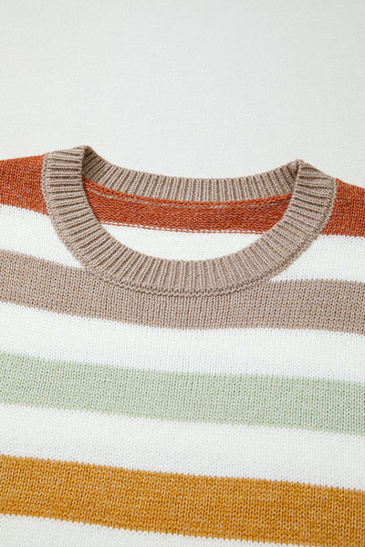 Women's Striped Crewneck Plus Size Oversized Knit Sweater