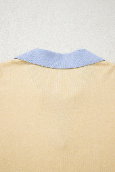 Women's Sky Blue Color Block Polo Sweater in Viscose Blend