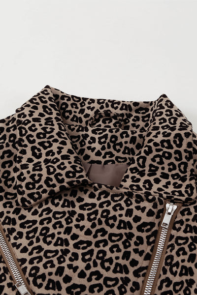 Women's Leopard Print Moto Jacket in Jackets for polished occasion-to-casual wear
