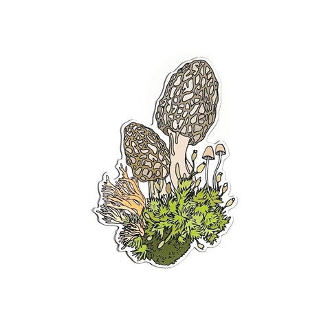 Morel Mushroom Magnet