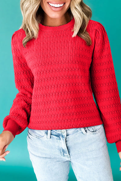 Chic Women's Cozy Crew Neck Sweater in Soft Knit - Ideal for Casual Outings, Flattering Fit, Available in Trendy Colors