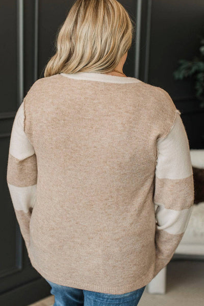 Plus Size Women's Stylish Color Block Sweater in Parchment with Buttoned Notched Neck and Trendy Long Sleeves