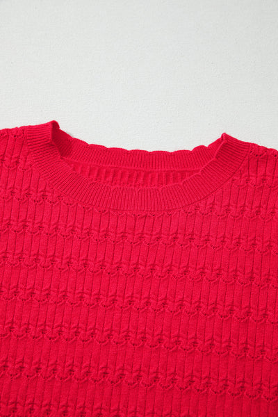Chic Women's Cozy Crew Neck Sweater in Soft Knit - Ideal for Casual Outings, Flattering Fit, Available in Trendy Colors
