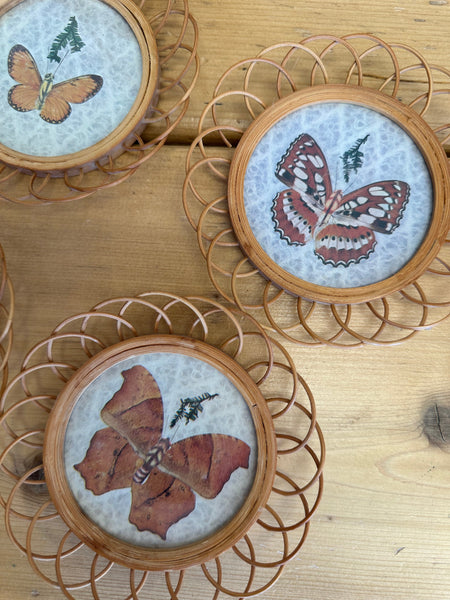 Vintage Rattan Butterfly Coaster Set