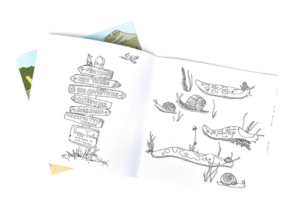 Wild Life Camp Colouring Book