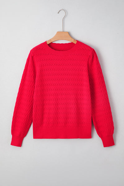 Chic Women's Cozy Crew Neck Sweater in Soft Knit - Ideal for Casual Outings, Flattering Fit, Available in Trendy Colors