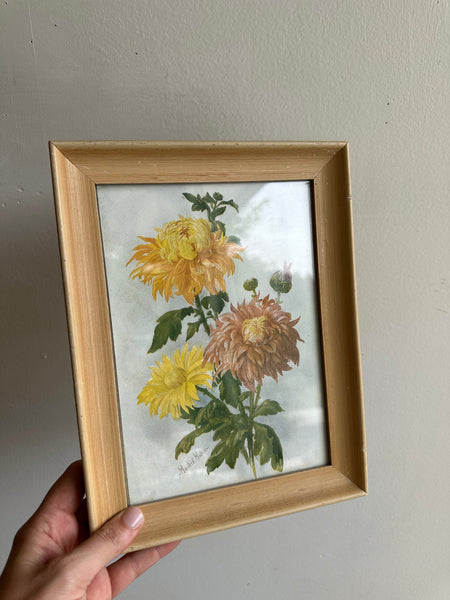 Vintage Botanical Chrysanthemum Print in Blonde Wood Frame