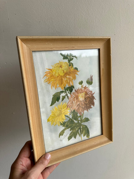 Vintage Botanical Chrysanthemum Print in Blonde Wood Frame