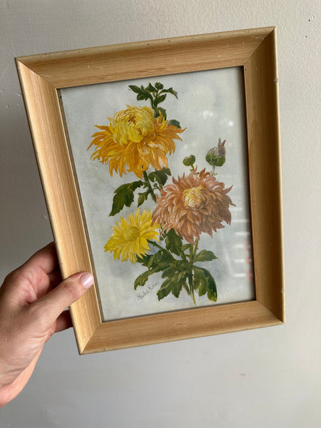 Vintage Botanical Chrysanthemum Print in Blonde Wood Frame