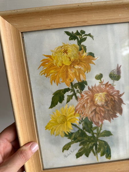 Vintage Botanical Chrysanthemum Print in Blonde Wood Frame