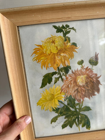 Vintage Botanical Chrysanthemum Print in Blonde Wood Frame