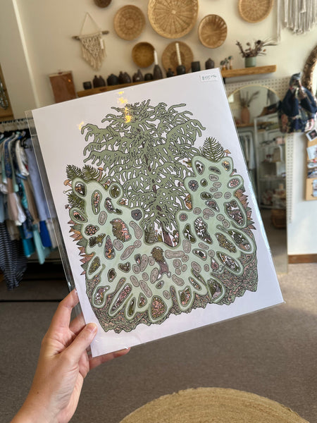 Kimboho Art Print Great Pine  14” x 11”