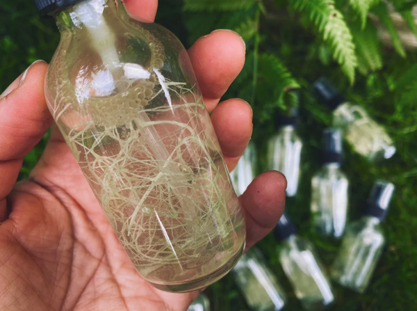 Ladalove Apothecary - Wildwoods Grounding Ritual Mist