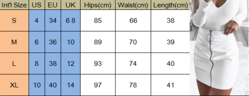 Zip Gloss Mini Skirt