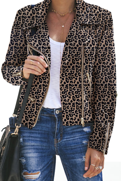 Women's Leopard Print Moto Jacket in Jackets for polished occasion-to-casual wear