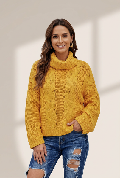 Women's Chunky Knit Turtleneck Pullover in Sweaters