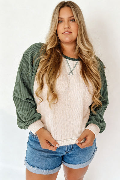 Plus Size Women's Mist Green Waffle Color Block Long Sleeve Top - Trendy, Cozy, Ideal for Casual Everyday Outfits