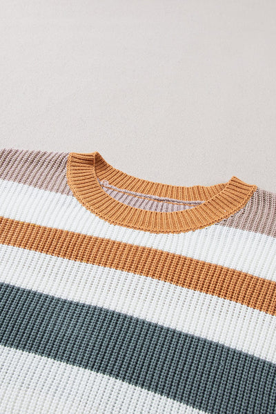 Multicolor Striped Round Neck Long Sleeve T-Shirt