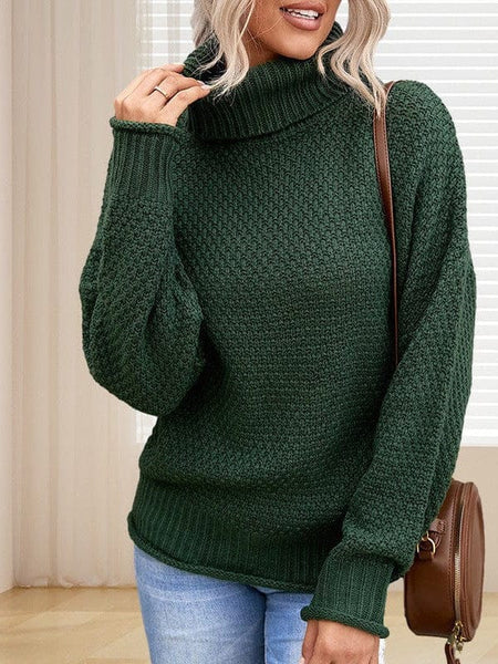 Women's Chunky Knit Turtleneck Pullover in Sweaters