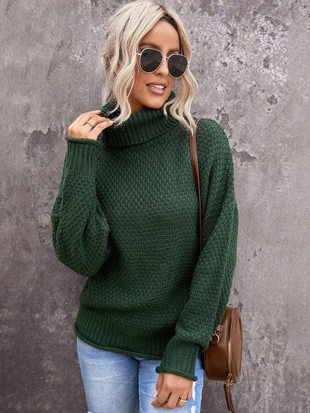 Women's Chunky Knit Turtleneck Pullover in Sweaters