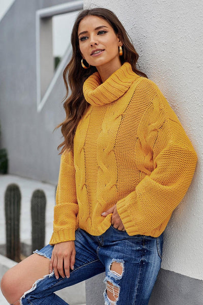 Relaxed Fit Turtleneck Knit Jumper