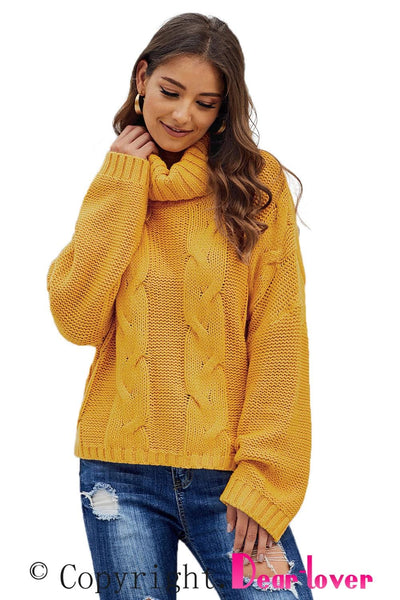 Relaxed Fit Turtleneck Knit Jumper