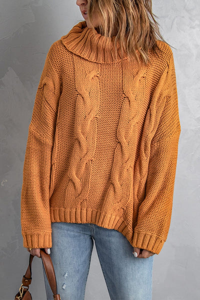 Women's Chunky Knit Turtleneck Pullover in Sweaters