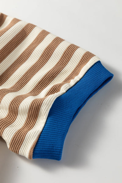 Women's Brown Striped Puff Sleeve Knit Top with Contrast Trim