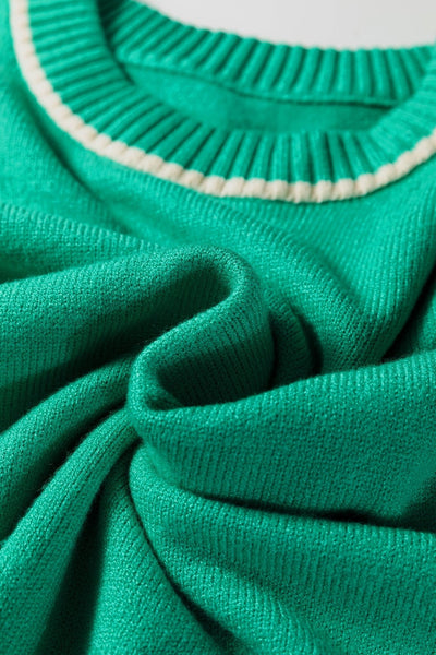 Women's Sea Green Viscose Blend Relaxed Knit Sweater with Trim